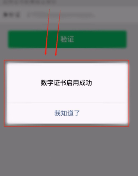 1631500716613977.png image.png