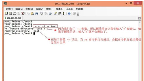 linux linux