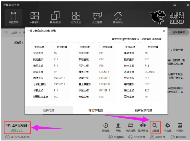 黑鲨 黑鲨