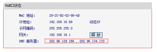 dns dns