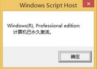 专业版 专业版
