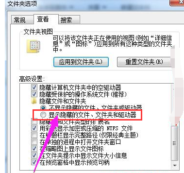 显示文件 显示文件