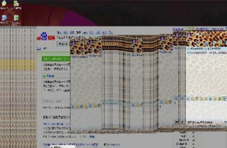 电脑网速慢 电脑网速慢
