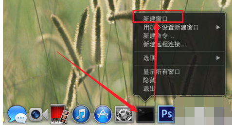 ip地址 ip地址