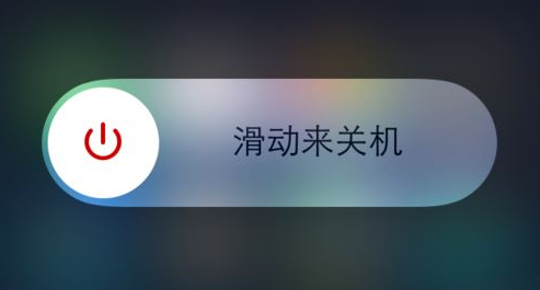 苹果 苹果