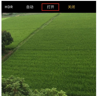手机 手机