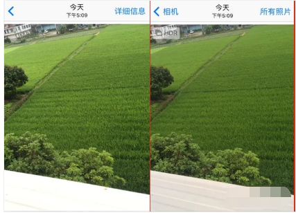 手机 手机