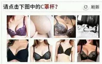 验证 验证