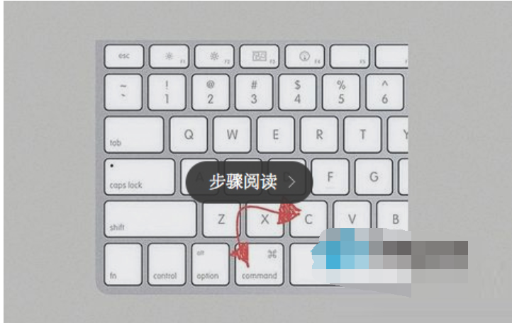 苹果 苹果