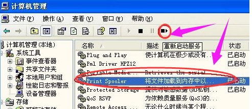 显示 显示