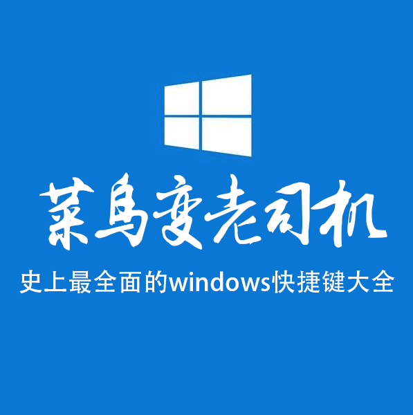 windows windows