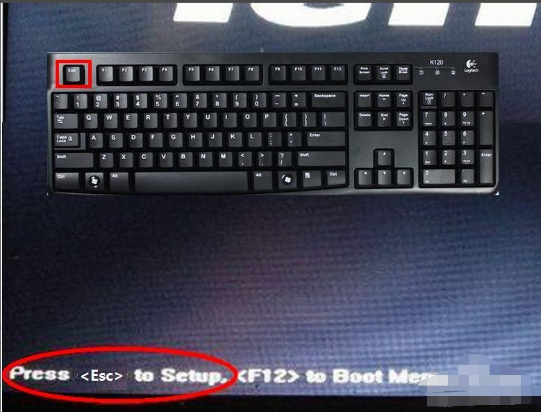 bios bios