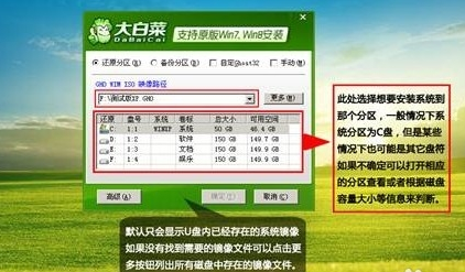 大白菜 大白菜