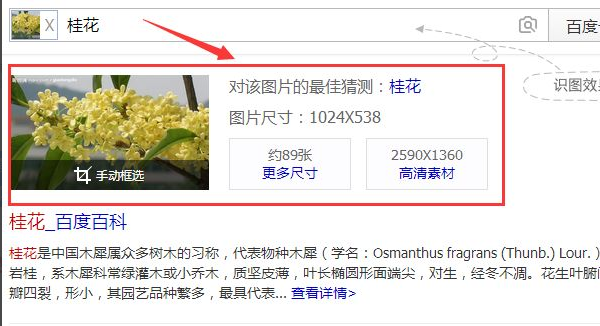 1620725155112016.png image.png