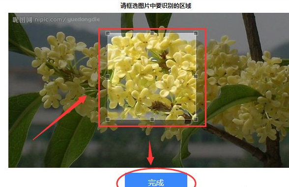 1620725213640485.png image.png