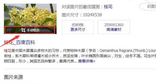 1620725183880301.png image.png