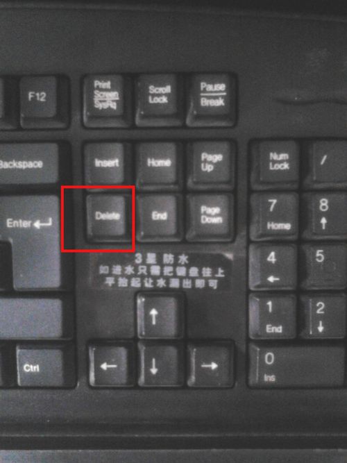 1484554959253887.jpg 1.jpg