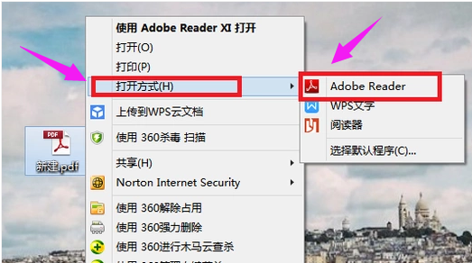 pdf文件 pdf文件