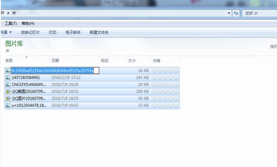 文件名称 文件名称