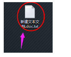 文件 文件