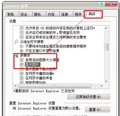 网页 网页