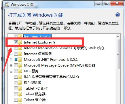ie ie