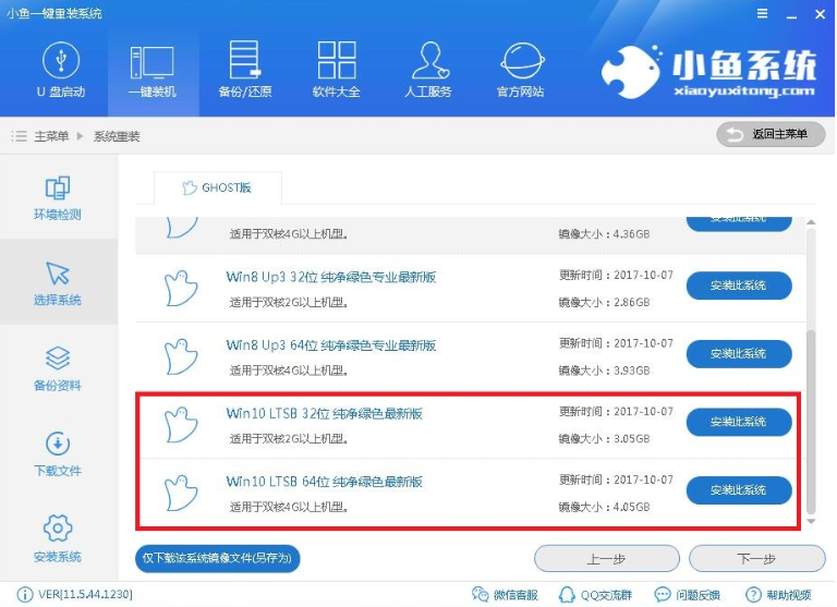 小鱼 小鱼