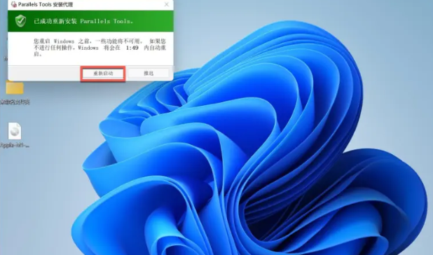 1645169941144414.png image.png
